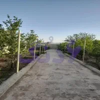 فروش باغ نوساز
