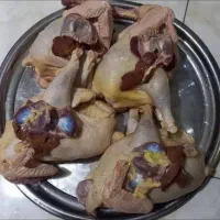 اردک .غاز .بوقلمون. مرغ و خروس .بلدرچین|حیوانات مزرعه|رشت, فلسطین|دیوار