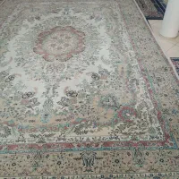 فرش نگین مشهد|فرش|وحیدیه, |دیوار