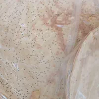 نان خانگی|خوردنی و آشامیدنی|اصفهان, گورت|دیوار