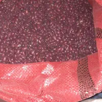 لوبیا قرمز|عمده‌فروشی|آوج, |دیوار