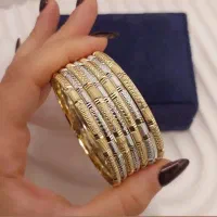 بدلیجات رنگ ثابت|بدلیجات|ارومیه, |دیوار