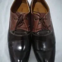کفش مردانه