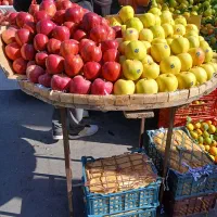 نیروی کار جهت فروش میوه