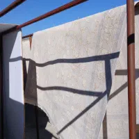 قالی شویی گولان.تحویل دو روزه