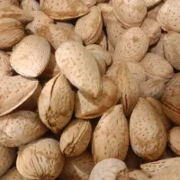 بادام درختی تلخ|خوردنی و آشامیدنی|تهران, جمال‌زاده|دیوار