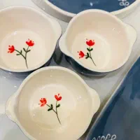 ظروف پذیرایی سرامیکی|ظروف سرو و پذیرایی|گرگان, |دیوار