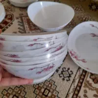 سرویس غذاخوری ۶نفره آرکوپال