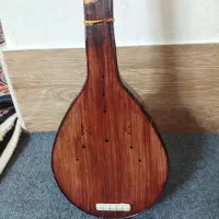 تار سنتی سالم درجه ۱|سازهای سنتی|قم, نوبهار|دیوار