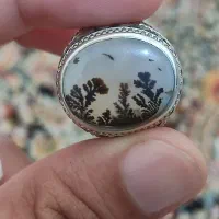 شجر قائن فدیوم رسول