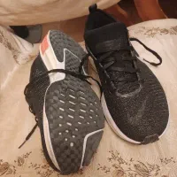 کتانی|کیف، کفش، کمربند|کرج, برغان|دیوار