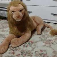 جنس فوق‌العاده نوع نوع