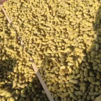 بادام زمینی 170کیلو فروش عمده