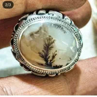 شجر تک درخت بی نظیر|جواهرات|زنجان, |دیوار