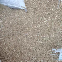 گندم|خوردنی و آشامیدنی|کارون, |دیوار