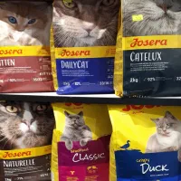 انواع جوسرا گربه