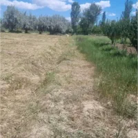 زمین|فروش زمین و ملک کلنگی|کشکسرای, |دیوار