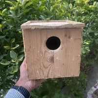 فروش‌‌انواع‌لونه‌یا‌لانه‌برای‌تخم‌گذاری‌طوطی‌سانان