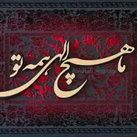 به یک کارگر ساده در کارگاه تخمه پزی نیازمندیم