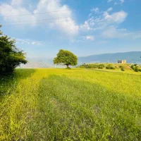 زمین ییلاقی سند دار بر جاده اصلی|فروش زمین و ملک کلنگی|برهسر, |دیوار