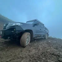 کلوت خاکستری ۱۴۰۱