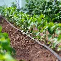 فروش نوار تیپ آبیاری قطره ای