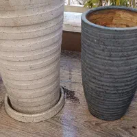 گلدان سفالی|گل و گیاه طبیعی|تهران, نارمک جنوبی|دیوار