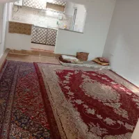 خونه ماهیانه نمیدم دربست سه شب ب بالا|اجارهٔ خانه و ویلا|مشهد, پروین اعتصامی|دیوار
