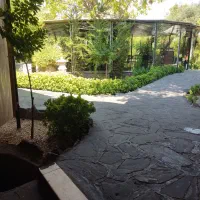 آشپز ایرانی منقل کار تخته کار کمک آشپز فرنگی