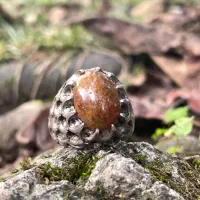 انگشتر بولدر اوپال (تشکیل شده روی چوب)