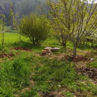 باغ|فروش خانه و ویلا|کامیاران, |دیوار
