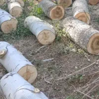 خرید وبرش چوب