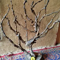 آویز عروسک برای تزیین اتاق کودک یا ویترین مغازه|صنایع دستی و سایر لوازم تزئینی|تویسرکان, |دیوار