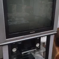 تلویزیون ۲۹ اینچ پاناسونیک همراه با میز تلویزبون|تلویزیون و پروژکتور|فردیس, شهرک ناز|دیوار