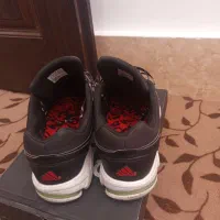 کتونی اکومنت اورجینال|کیف، کفش، کمربند|قم, حکمت شمالی|دیوار