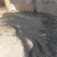 کربن پسته|عمدهفروشی|سبزوار, قصبه غربی|دیوار