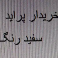 پراید ۱۱۱ سفید