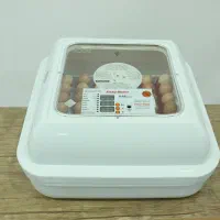 دستگاه جوجه کشی کوچک 48 تایی|لوازم جانبی حیوانات|سنندج, |دیوار