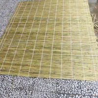 حصیر وسایبان کولر،گل و گلدان|صنایع دستی و سایر لوازم تزئینی|کرمان, |دیوار