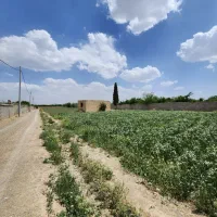فروش-زمین-باغ-در-جوزدان-نجف-آباد