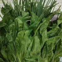 سبزی خورشتی