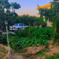 استخدام باغبانی و سرایداری