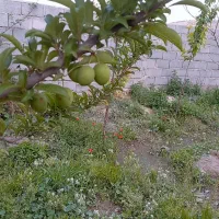 زمین-1000متری-جمعاب