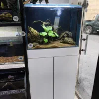 ماهی آکواریم ریملس APA با پایه و تجهیزات کامل درحد