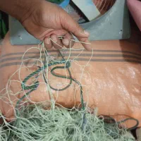 تور شیری رکسی 70چشم پانی|ماهیگیری|بردخون, |دیوار