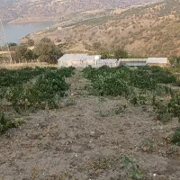 فروش زمین ۲۳۰۰ متری