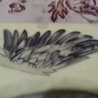 آموزش و اجرای تتو بدن|خدمات آموزشی|تبریز, |دیوار