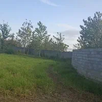 متراژ ۴۰۰ متر قیمت هر متر ۳۰۰۰مسکونی|فروش زمین و ملک کلنگی|تولم شهر, |دیوار