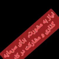 نیاز به مشارکت برای سرمایه گذاری