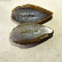 سنگ شجر.توپی .سلیمانی